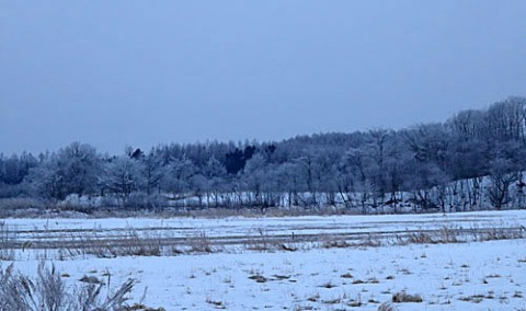 最後の霧氷風景になるか?