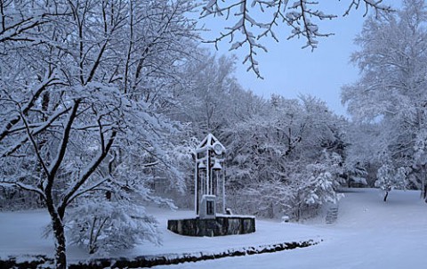 春の湿った雪はきれい!!