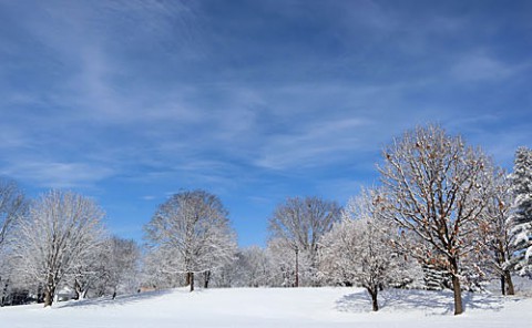 青空に雪景色が映えるあずさ公園で