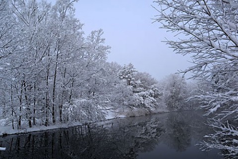 緑ヶ丘の雪景色