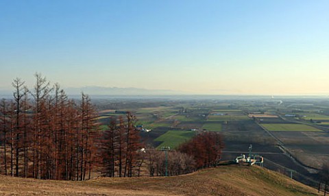 新嵐山スカイパーク展望台