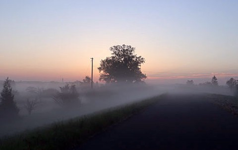 雲海のような朝霧&光芒
