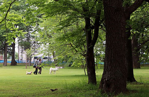 秋田犬との出会いはすずらん公園