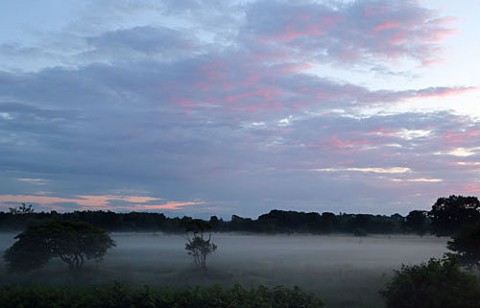 風もなく穏やかな朝霧風景