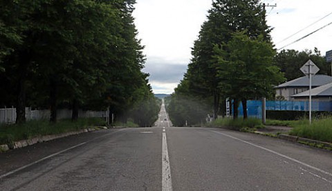 続く一本道・音更