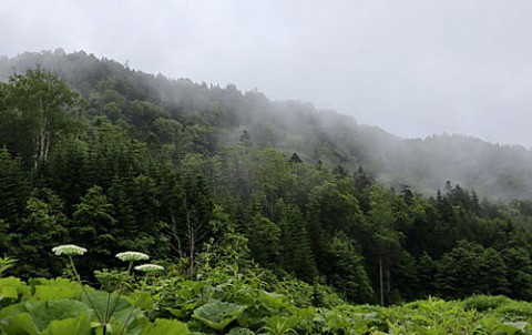 朝は雨霧、午後は青空