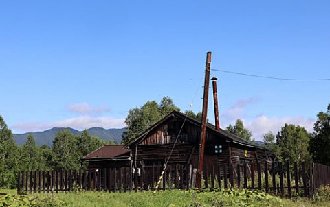 三股の廃屋と白樺林