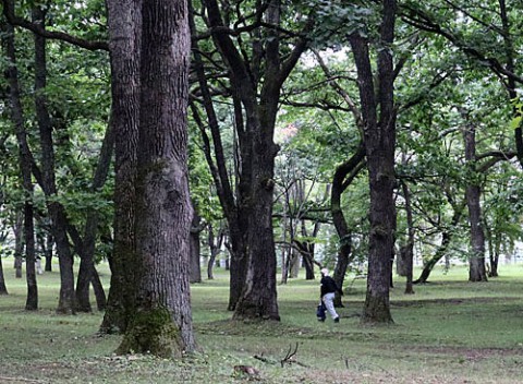 すずらん公園で見かけた男性