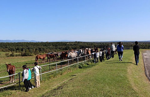 修学旅行生で賑わう十勝牧場