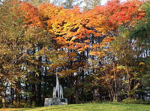 緑ヶ丘のブロンズと紅葉