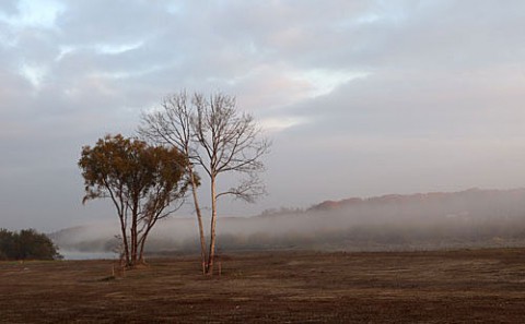 河川敷の公園予定地