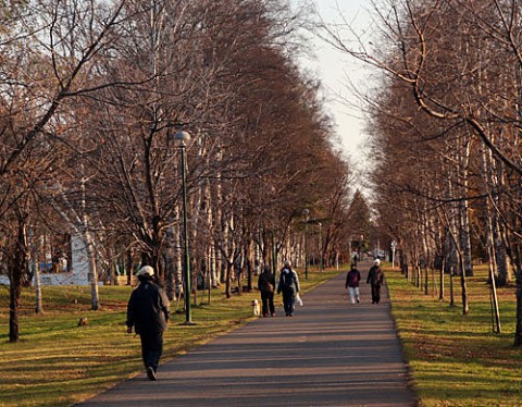 朝の散歩には絶好の緑ヶ丘公園