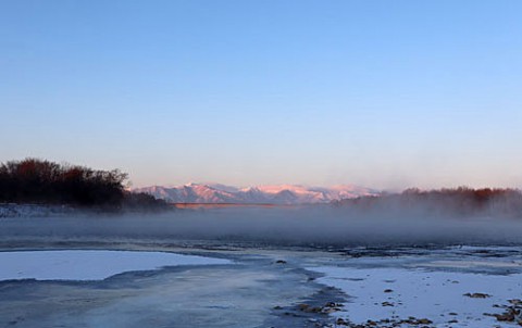 十勝川の気嵐と白鳥