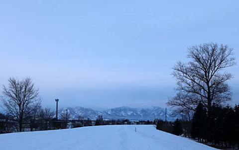 風が吹いても飛ばされない雪