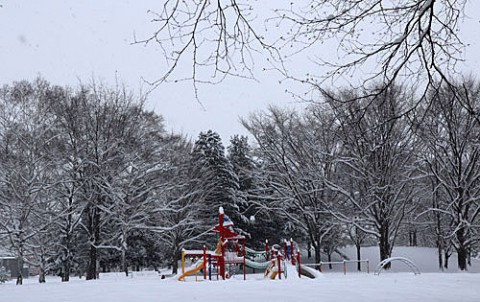 あずさ公園の遊具