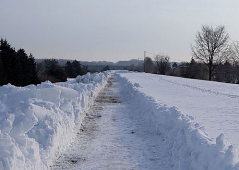 除雪された遊歩道