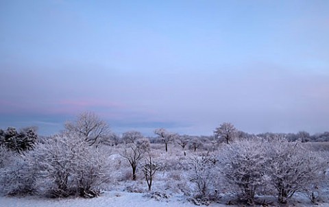 春の淡雪