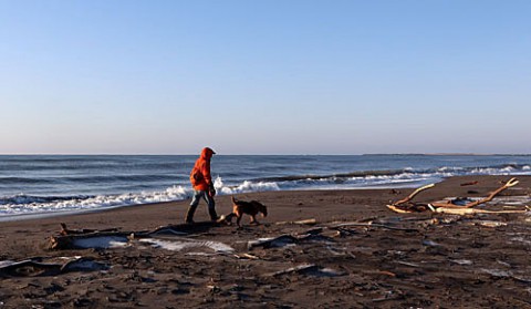 大津の海へ家族ドライブ