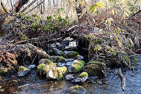 上士幌町の居辺にて