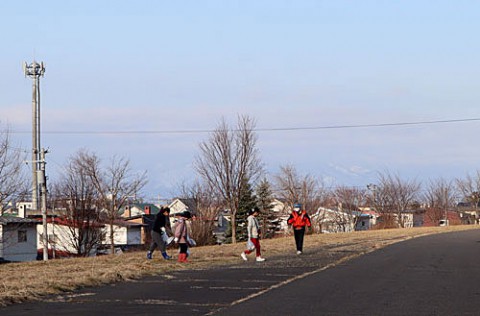 遊歩道の清掃をする家族