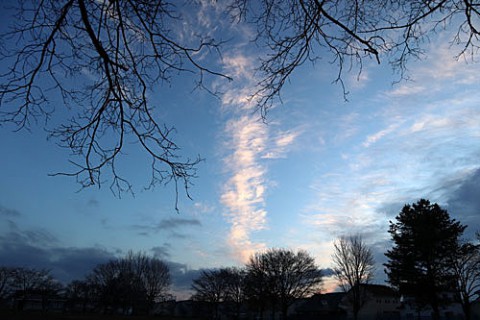 気持ちの良い青空