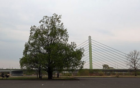 新緑と清流大橋