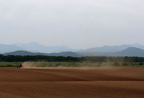 雨不足で乾燥する畑