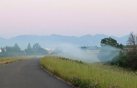 夜明けに花火で遊ぶ子供達