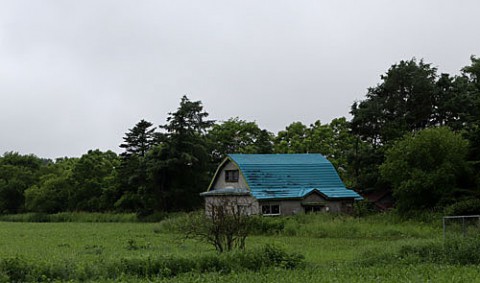 廃屋と白馬など