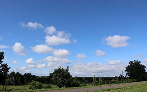 嬉しかった久し振りの青空