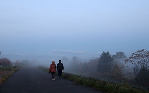 遊歩道を散歩