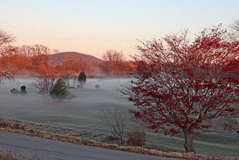 パークゴルフ場の朝霧