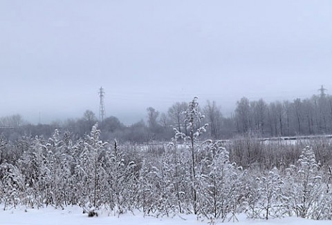 雪景色を写すのも飽きました