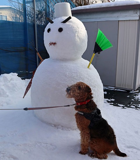 エルとお隣の雪ダルマ