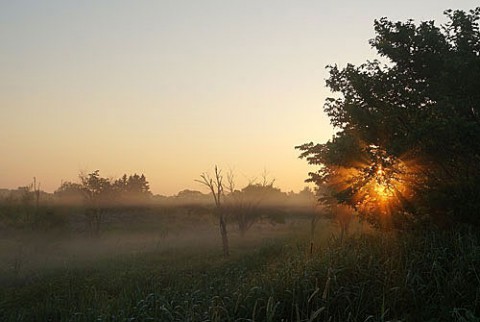 十勝川河川敷の朝霧と光芒