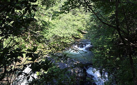 巨岩の滝を上から撮影