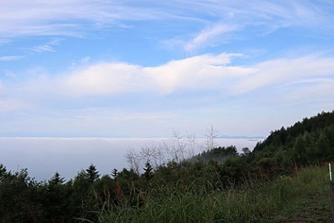 扇が原展望台からの雲海