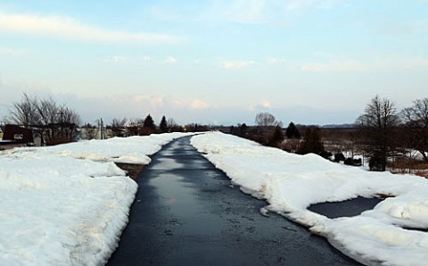 凍っていなかった遊歩道