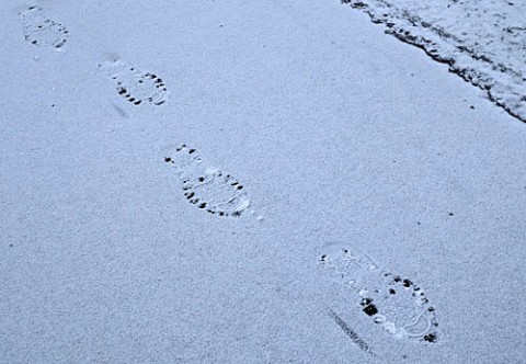 ちらりと降った雪