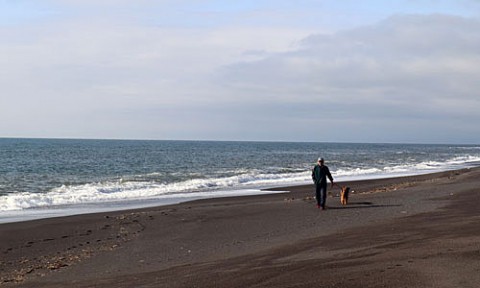 愛犬エルと浜辺を散歩
