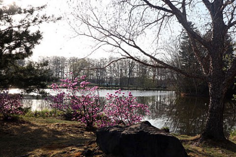 早朝の緑ヶ丘公園