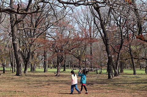 子供の日のすずらん公園