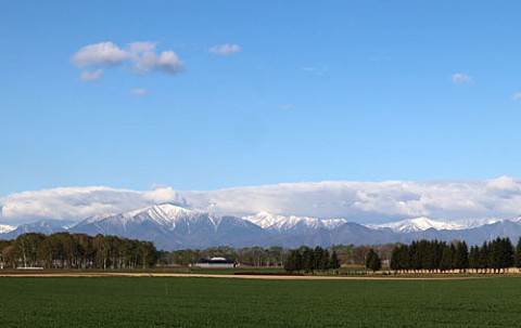 十勝晴れに映える山