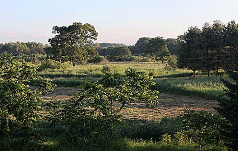 何ができるのか十勝川河川敷