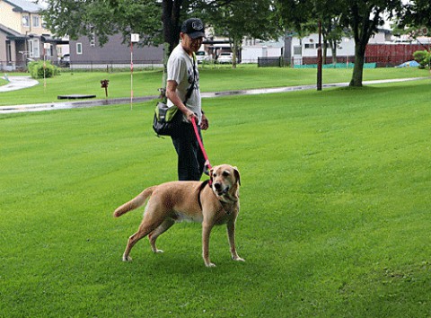 近くの公園でお散歩ワンちゃん