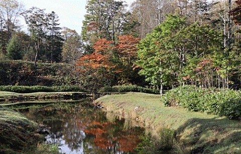 福原山荘の秋