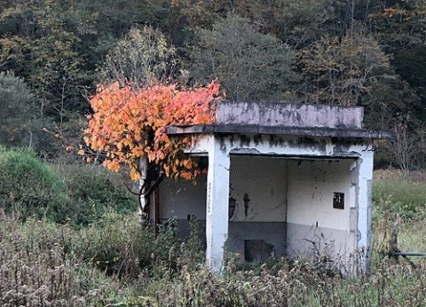 写し置きの廃屋