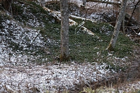 十勝三俣の雪 景色