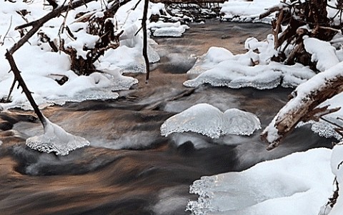 三俣の川で氷の 造形