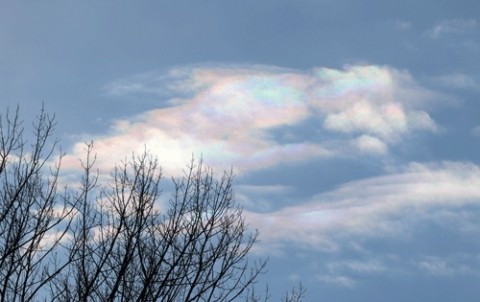 澄み切った空の彩雲